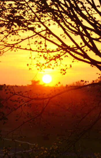 SonnenuntergangOvalbahn