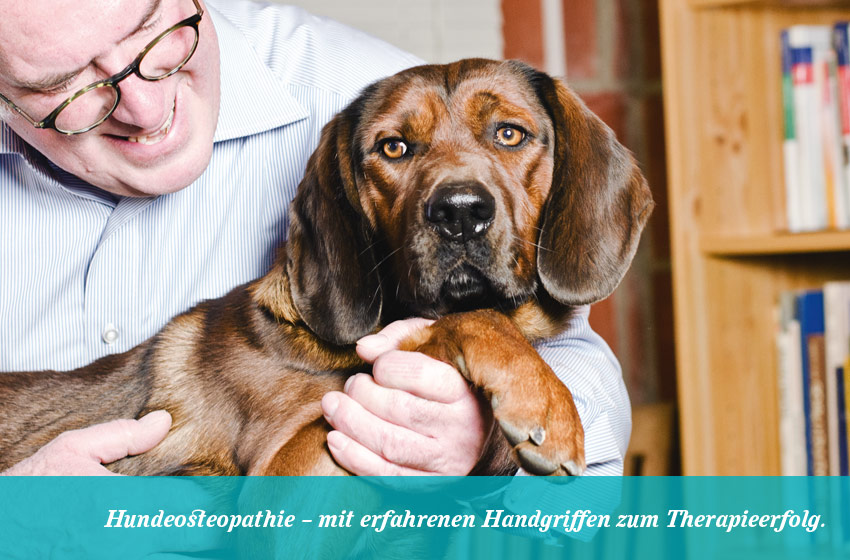 Hundeosteopathie Behandlung-1