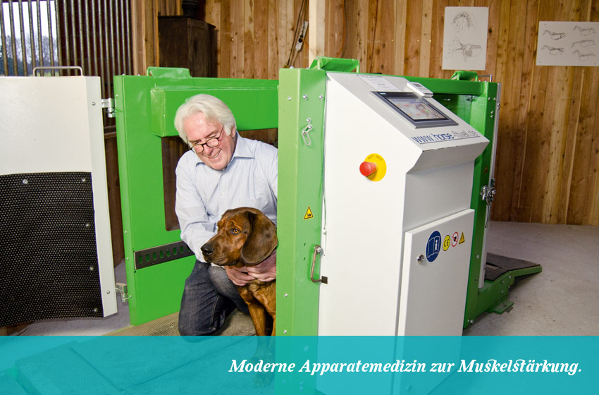 hundeosteopathie_behandung-4_apparatemedizin
